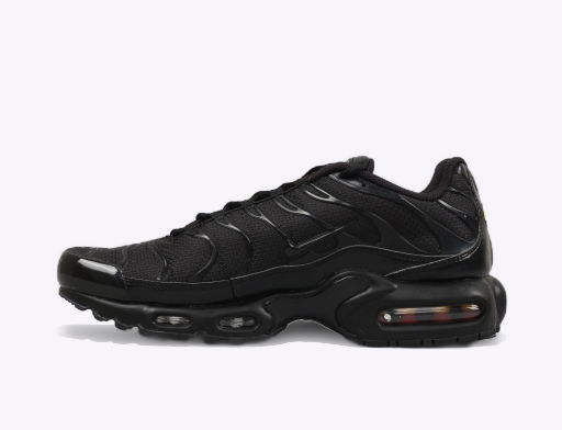 Nike Air Max Plus TN Ultra 898015 004 FLEXDOG