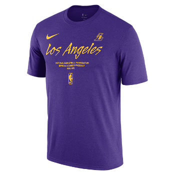 Nike NBA Los Angeles Lakers Essential FJ0282-504