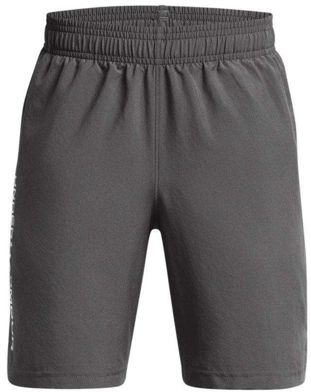 UA Woven Wdmk Shorts-GRY