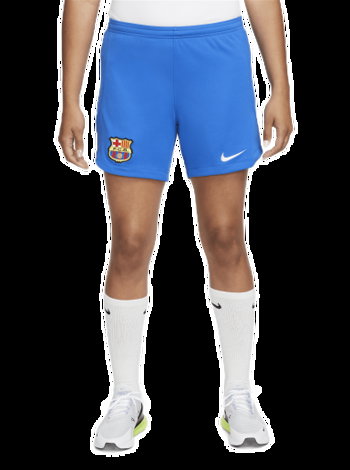 Nike Dri-FIT FC Barcelona 2023/24 Stadium DX2743-463