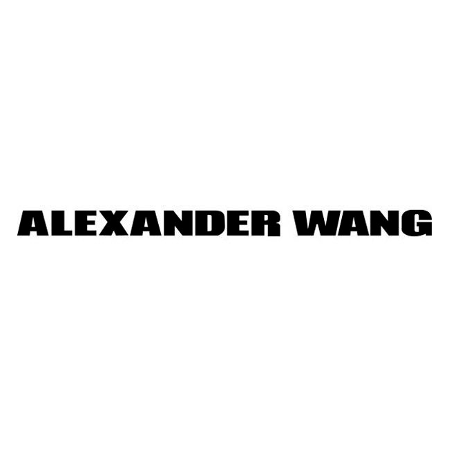 Ieftin sneakerși și pantofi Alexander Wang